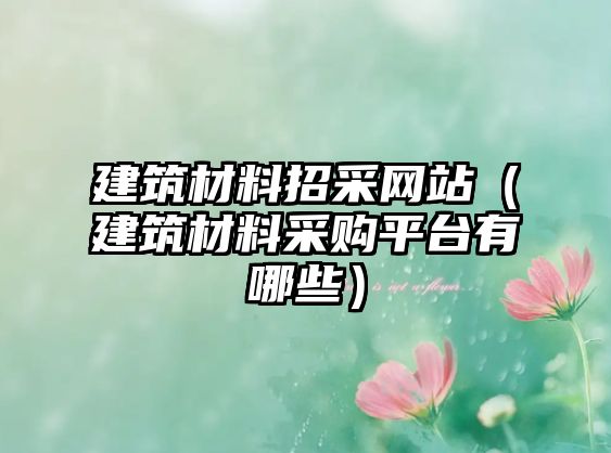 建筑材料招采网站（建筑材料采购平台有哪些）