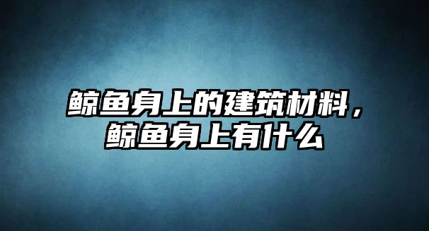 鲸鱼身上的建筑材料，鲸鱼身上有什么