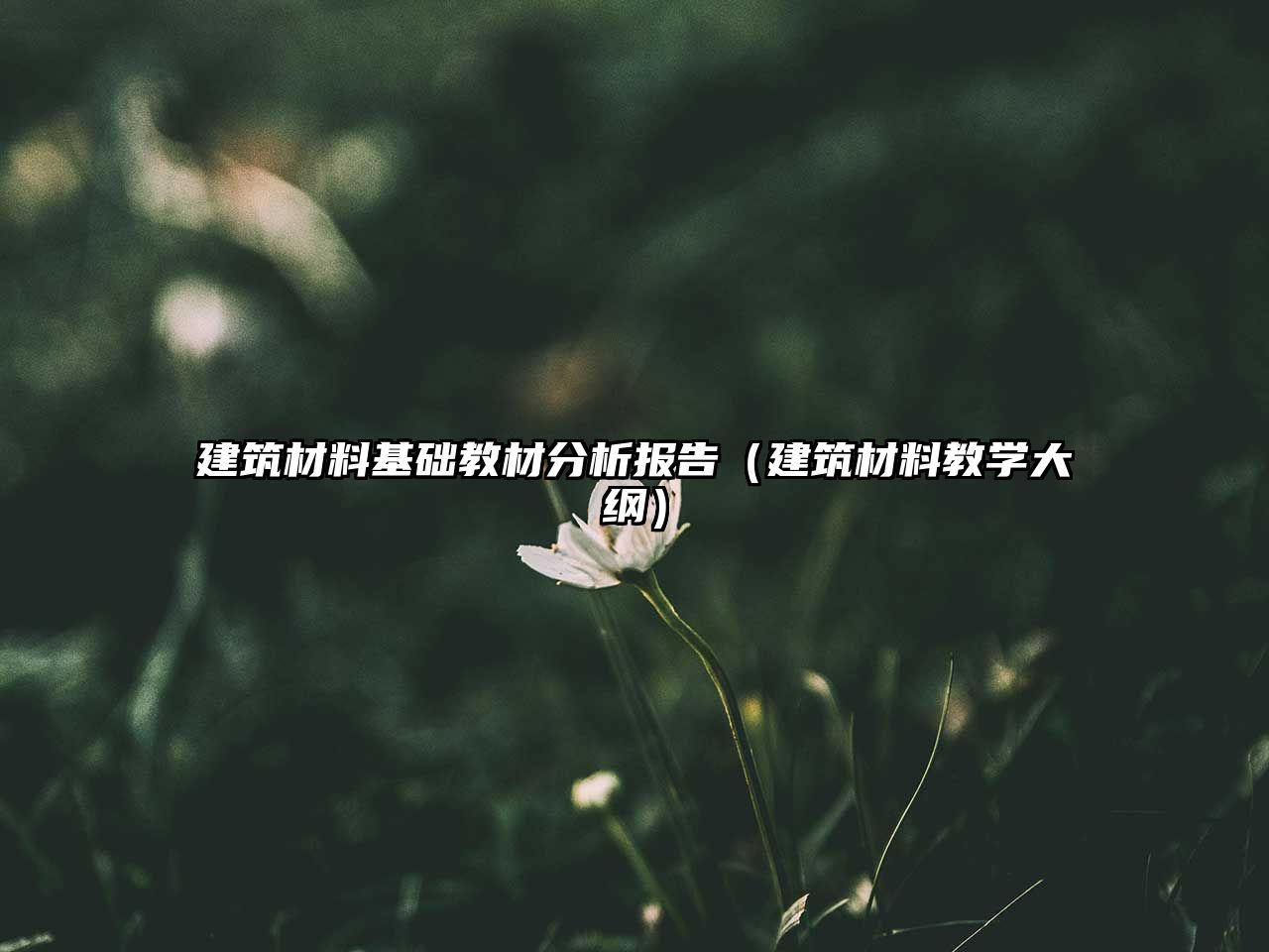 建筑材料基础教材分析报告（建筑材料教学大纲）